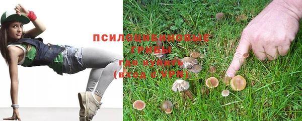 дурь Белоозёрский
