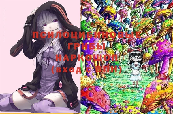дурь Белоозёрский