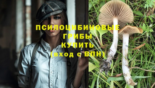 прущий лед Сосновый Бор